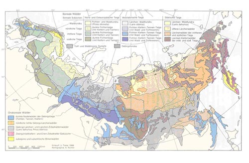 Vegetationskarte aus Die borealen Wälder